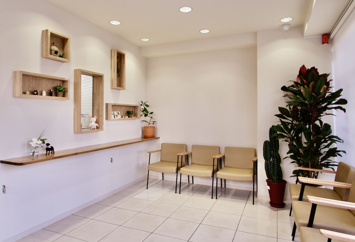 草花に囲まれた美容室の待合